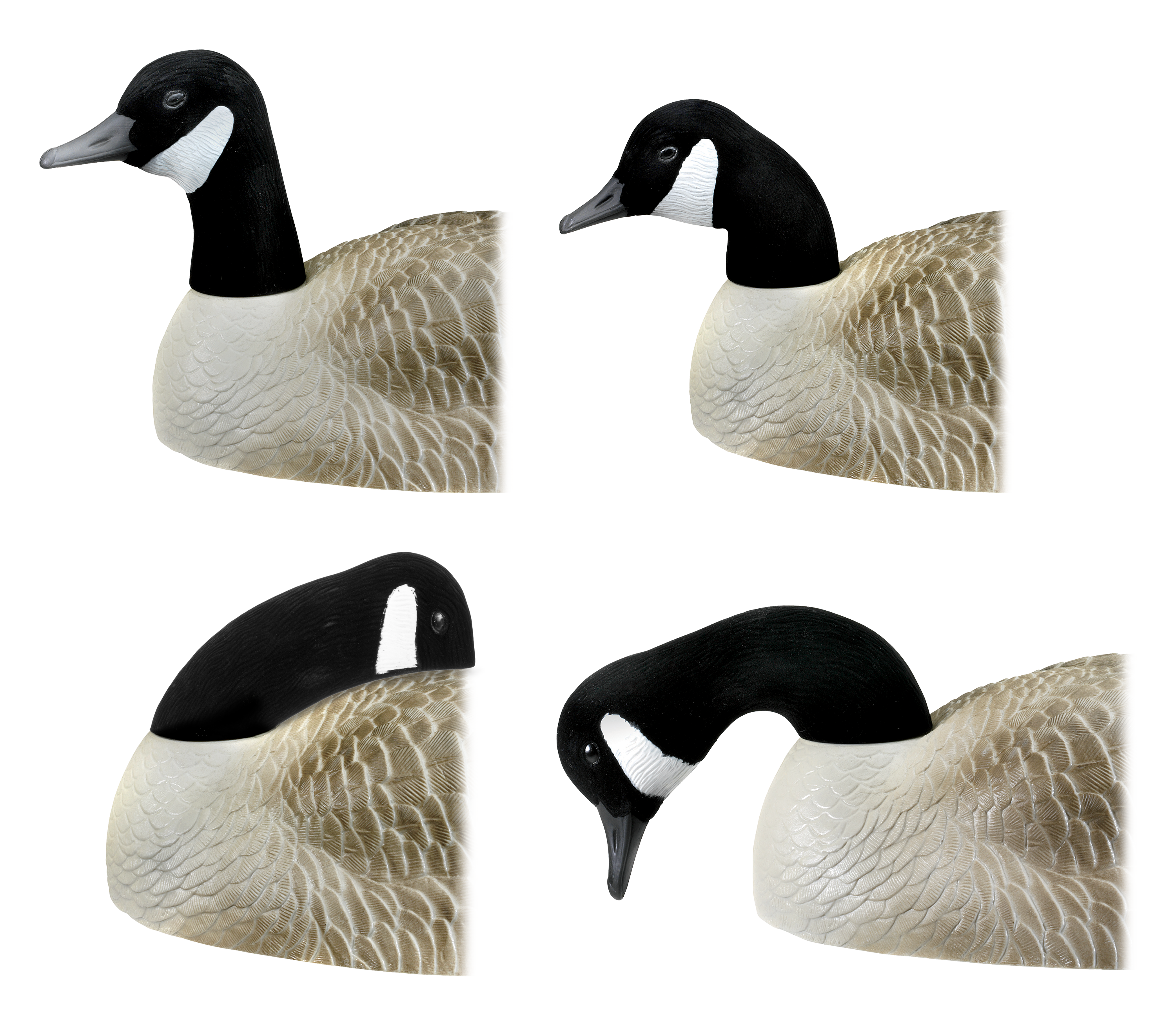 RedHead Replacement Heads for Shell Goose Decoys Bass Pro Shops